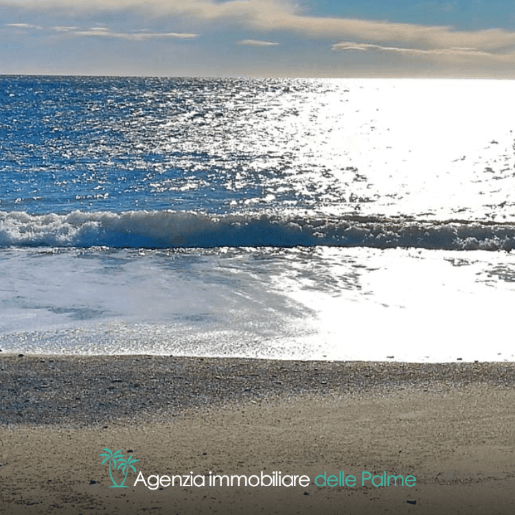 Agenzia Immobiliare delle Palme